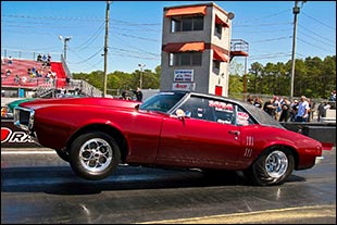 Firebird Wheelie 2010 Wallpaper 1440X960 hi resolution