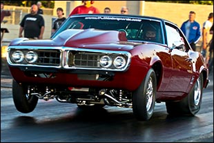 Firebird Wheelie 2010 Wallpaper 1440X960 hi resolution